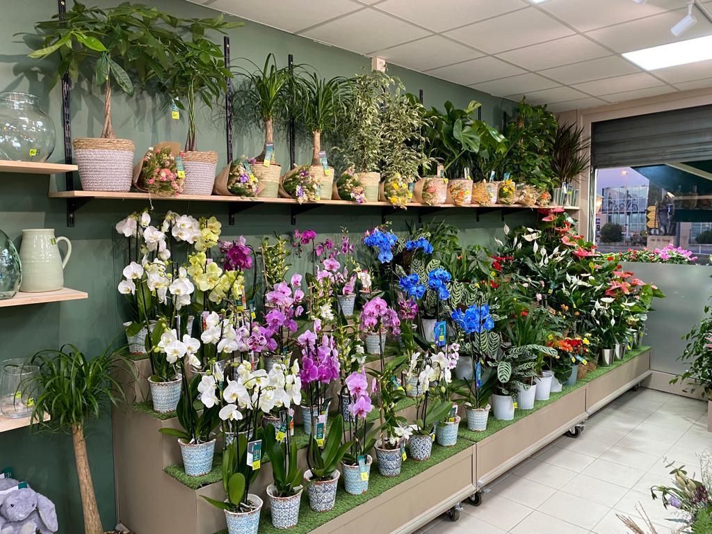 Ouverture magasin le Jardin des Fleurs à Pujet-sur-Argens