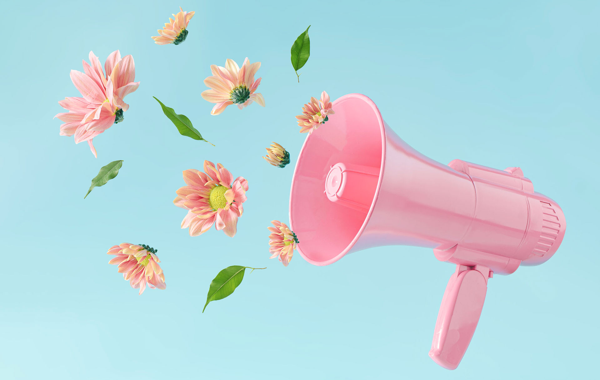 Mégaphone fleurs : retrouvez les actualités du groupe Flora Nova et de ses enseignes le Jardin des Fleurs et Oya Fleurs